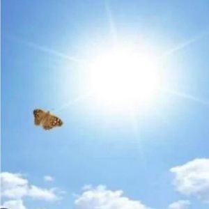 Meet your Posher, Abbey